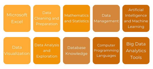 解锁数据价值 掌握数据处理技术，夯实有效数据分析的基石
