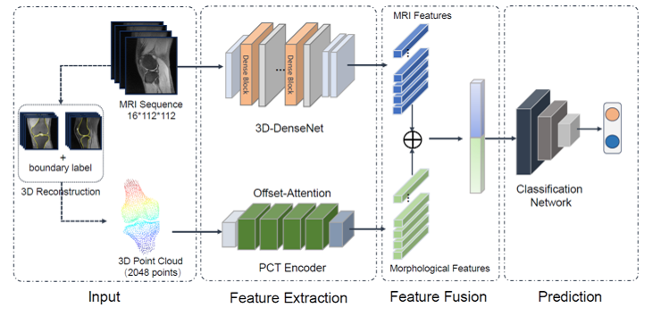 生物医学影像处理中的数据处理技术 赋能精准医疗的核心引擎